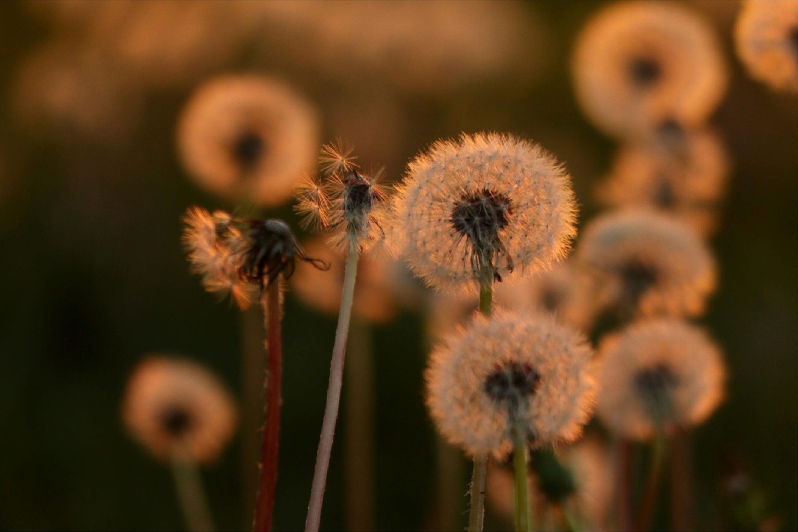 plus-size-women-workout-at-fitness-center-2024-11-29-01-05-14-utc-02