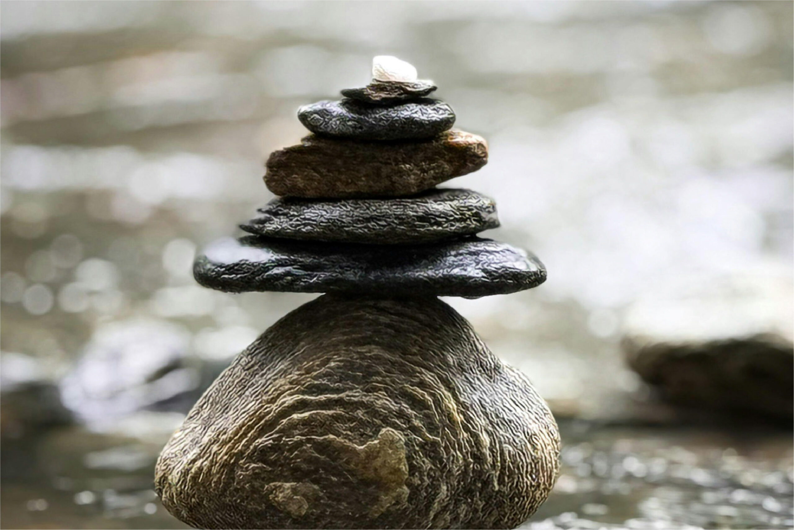 plus-size-women-workout-at-fitness-center-2024-11-29-01-05-14-utc-03