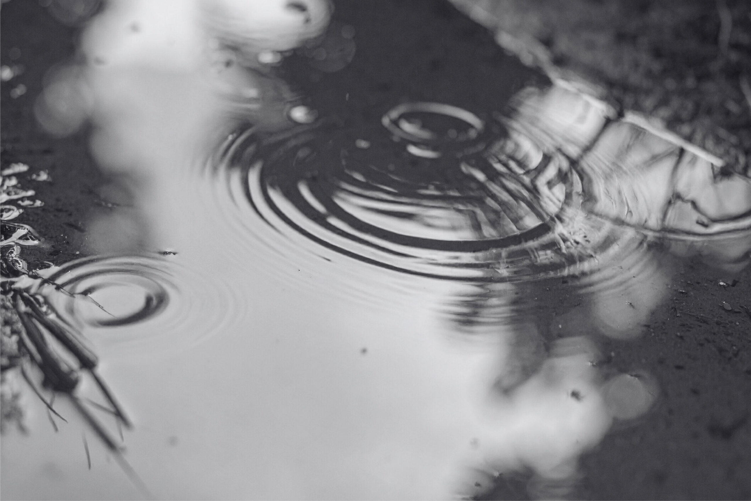 plus-size-women-workout-at-fitness-center-2024-11-29-01-05-14-utc-08